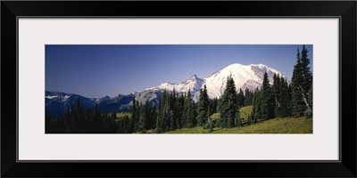 Low angle view of mountains, Mt Rainier, Washington State