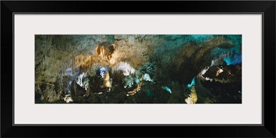 Low angle view of the ceiling of a cave, Hall Of Giants, Carlsbad Caverns National Park, Carlsbad, New Mexico