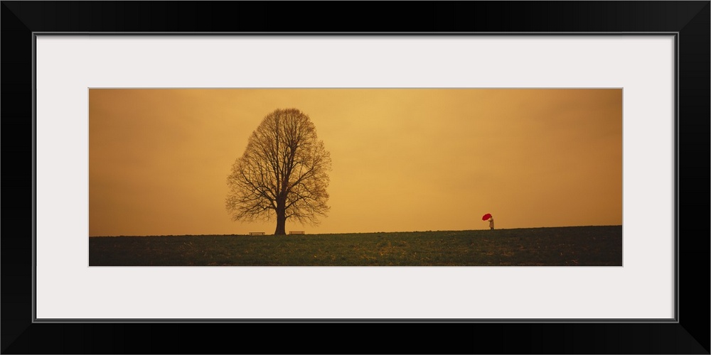 Man standing with an umbrella near a tree, Baden-Wuerttemberg, Germany