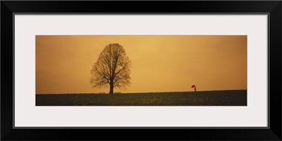 Man standing with an umbrella near a tree, Baden-Wuerttemberg, Germany