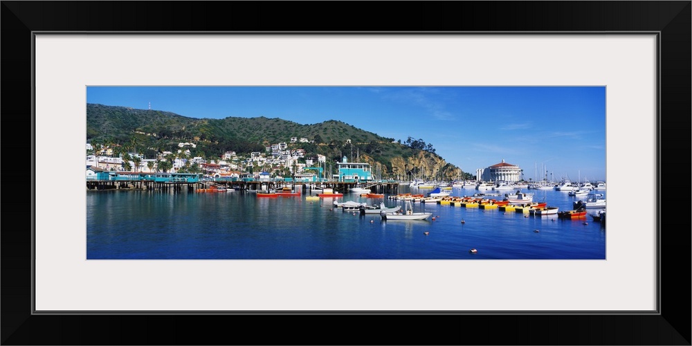 Wide angle shot of boats that are docked in the marina in Catalina California.