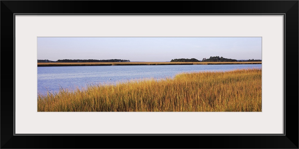 Marsh land, Little Talbot Island State Park, Little Talbot Island, Florida, USA