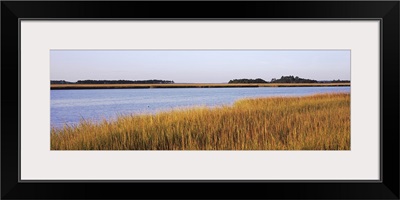 Marsh land, Little Talbot Island State Park, Little Talbot Island, Florida