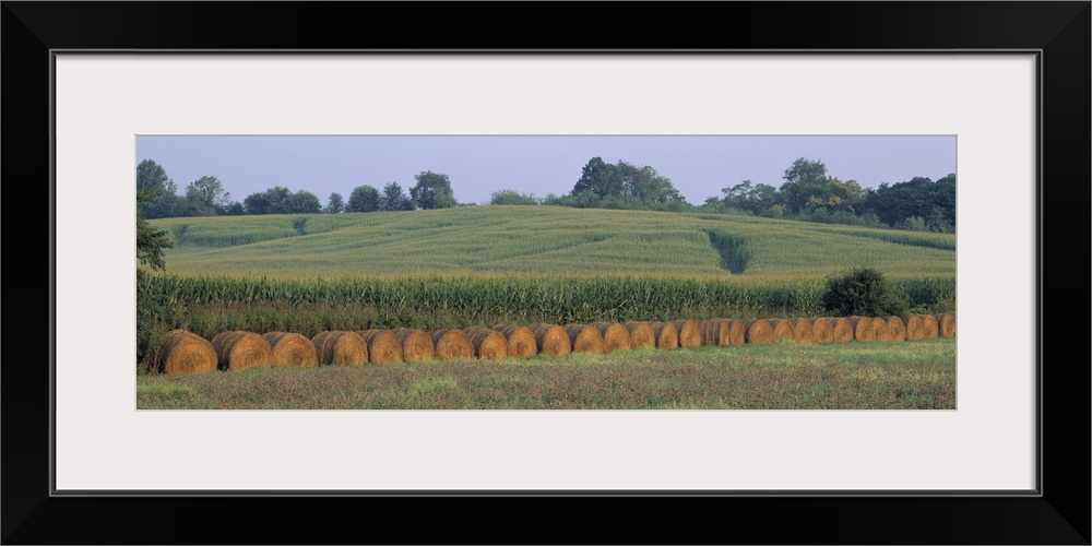 Maryland, Baltimore, Hay bales near a corn field