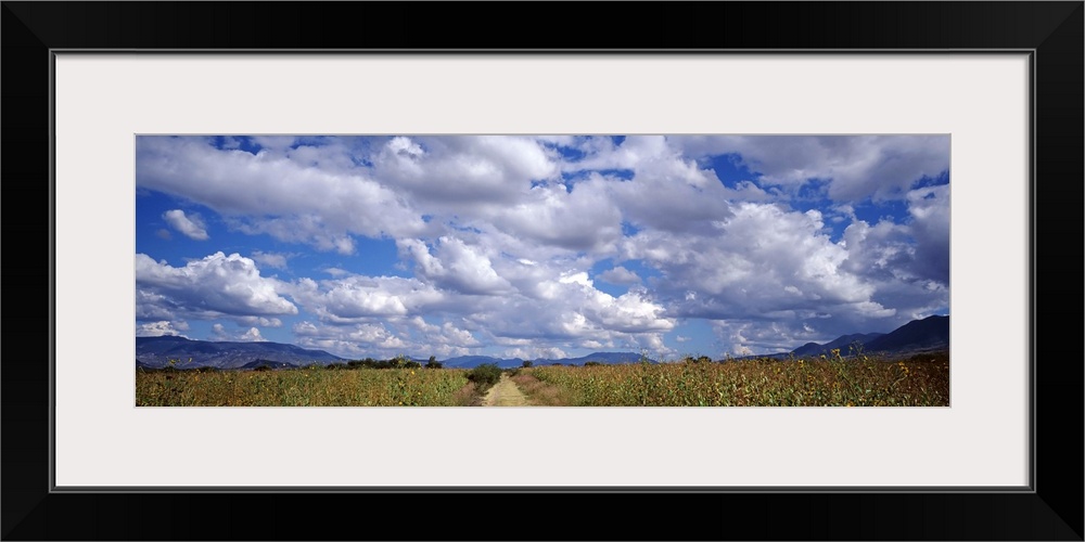 Mexico, Oaxaca, country road