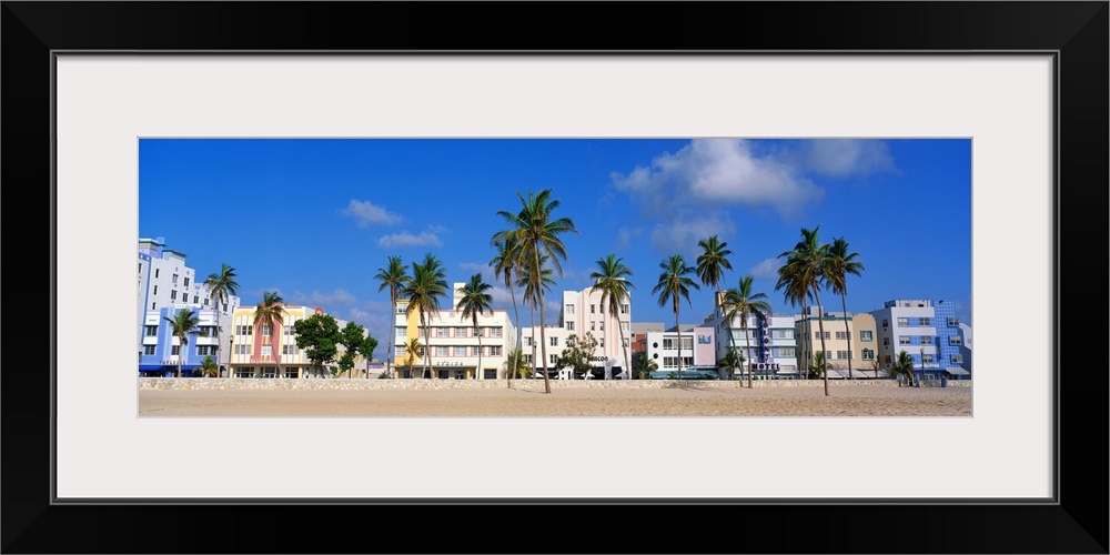 Gigantic panoramic photo of Miami Beach, Florida with the sandy beach, palm trees, and buildings shown on a sunny and near...