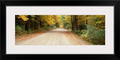 Michigan, Leland, Road passes through a forest