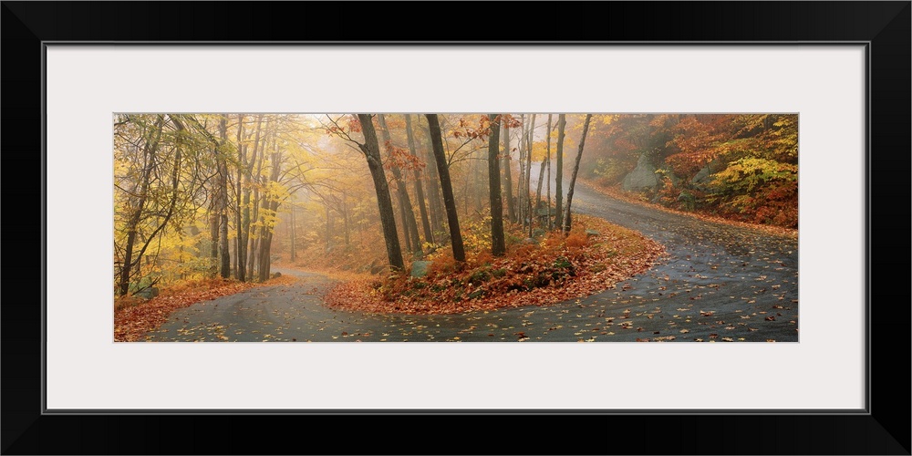A big panoramic wall hanging of a winding road through a New England forest in autumn.