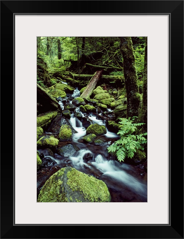 Tall image on canvas of water rushing down and through a forest covered in moss.