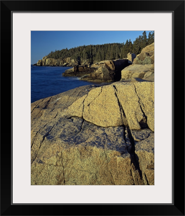 Mount Desert Island shoreline, Acadia National Park, Maine