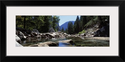 Mountain behind pine trees, Tenaya Creek, Yosemite National Park, California