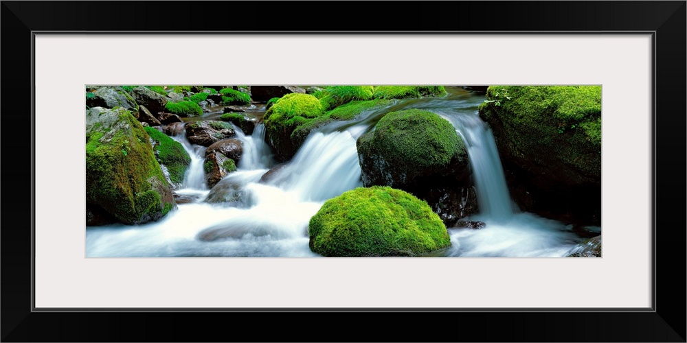 Panoramic photograph showcases water as it rushes down the small drop-offs of a river littered with moss-covered rocks.