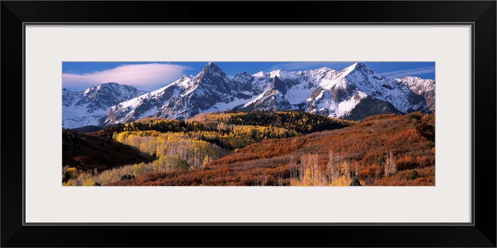 Giant landscape photograph of a golden brown Colorado valley in front of snow covered mountains under a blue sky.