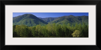 Mountains in a national park, Great Smoky Mountains National Park, Tennessee