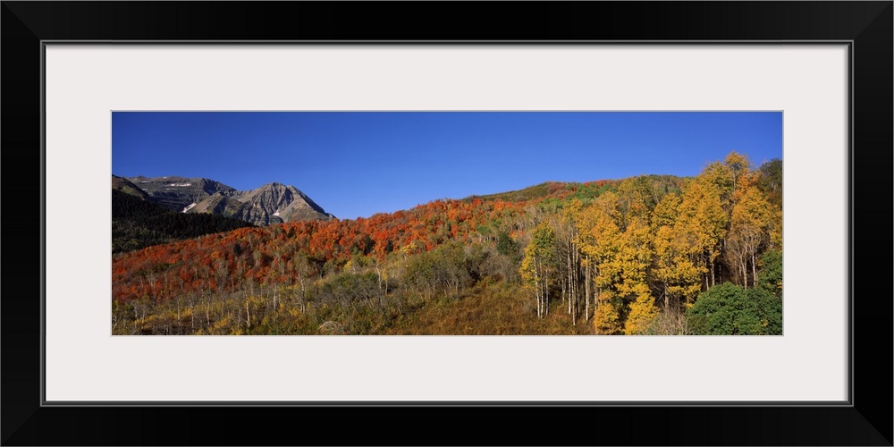 Mountains on a landscape Mt Timpanogos Wasatch Mountains Utah