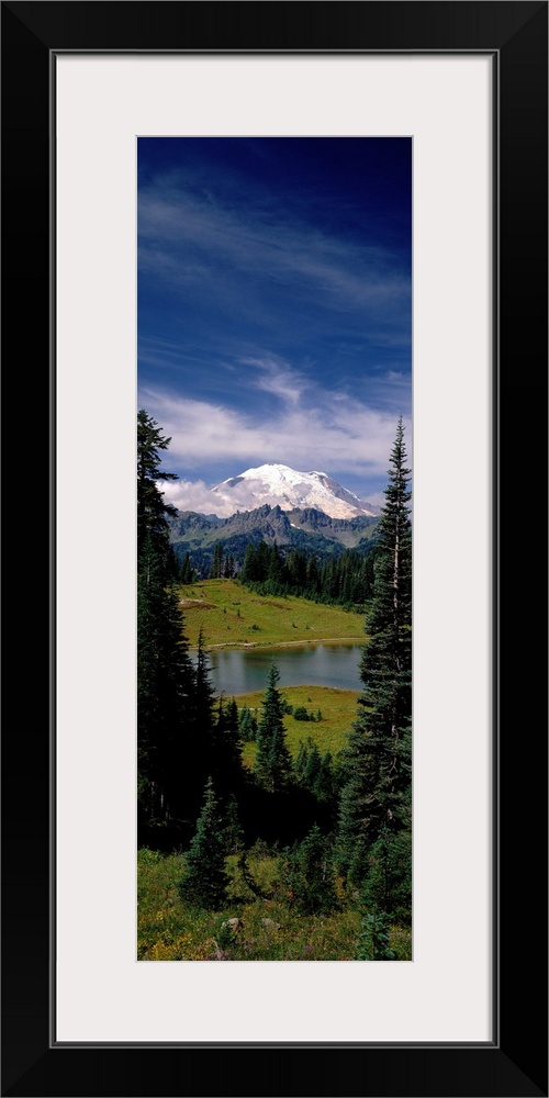 Vertical panoramic photograph of lake running through forest with snow covered mountains in the distance under a cloudy sky.