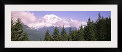 Mt Ranier Mt Ranier National Park WA