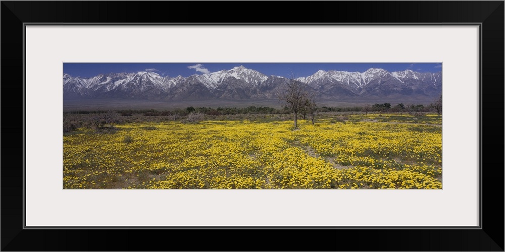 Mt Williamson Sierra Nevada Mountain Range CA