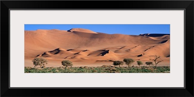 Namib Desert National Park Namibia Africa