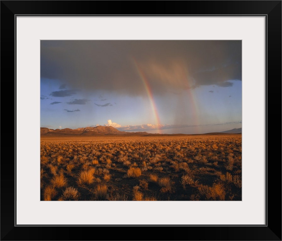 The open desert is photographed largely with a storm in the background and a double rainbow shown.