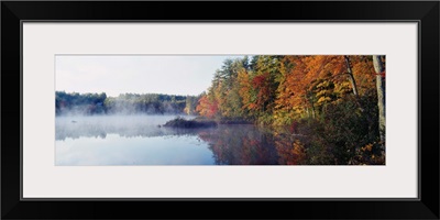 New Hampshire, White Mountains National Forest, Deciduous trees along the Chocorua Lake