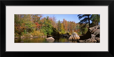 New York, Adirondack State Park, Adirondack Mountains, Deciduous trees along Moose River