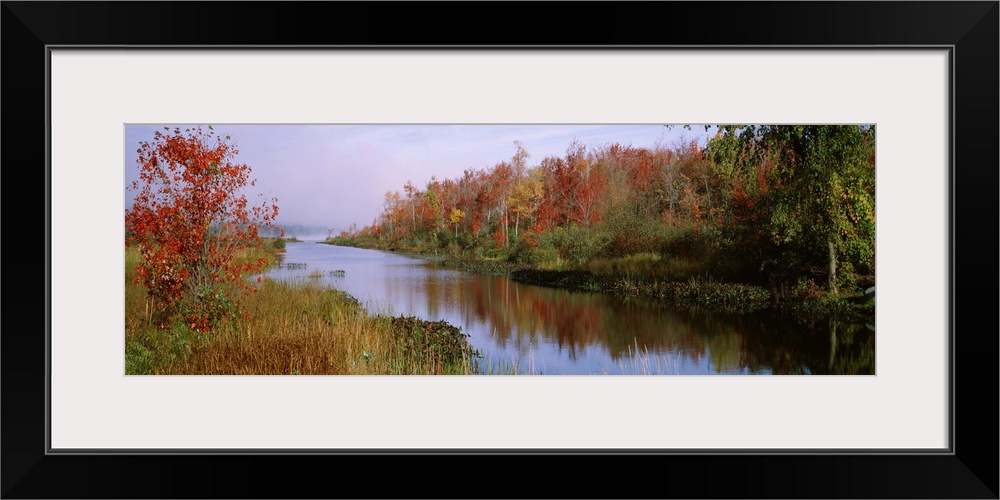 New York, Finger Lakes, Reflection of trees in a lake