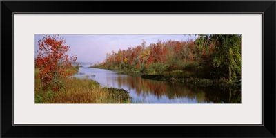 New York, Finger Lakes, Reflection of trees in a lake