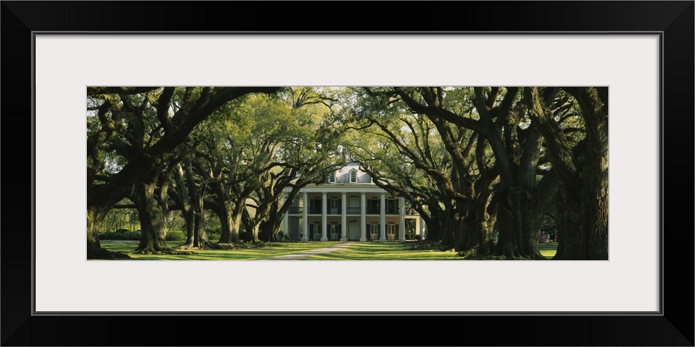 Panoramic, oversized photograph of Oak Alley Plantation at the end of a pathway surrounded by large oak trees.