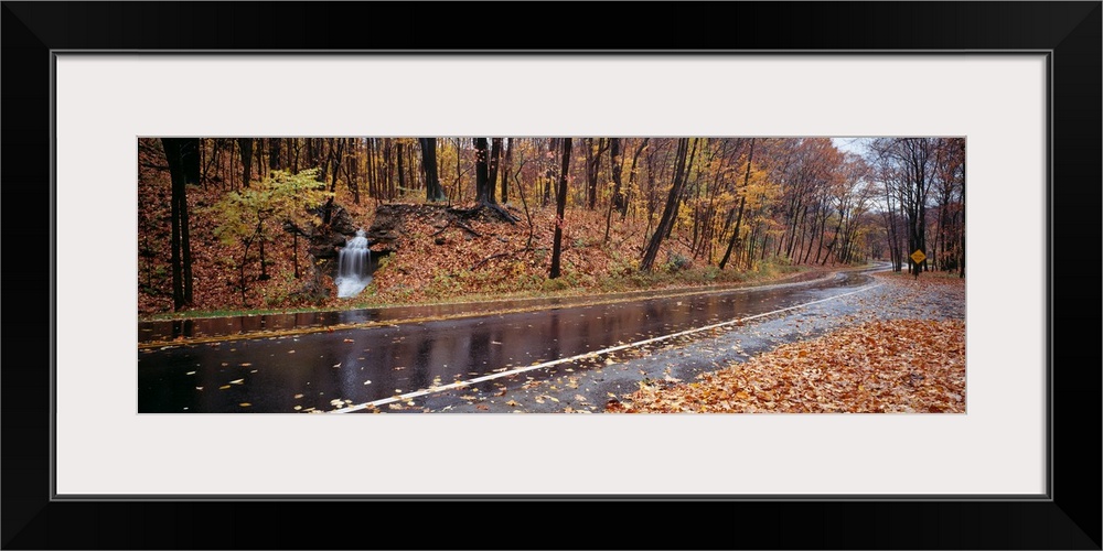 Panoramic image of a wet, leaf littered road with fall colored trees and a small waterfall at the end of a creek.