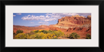 Orchards in front of sandstone cliffs, Capitol Reef National Park, Utah