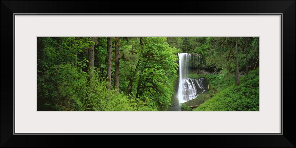 Oregon, Silver Falls State Park