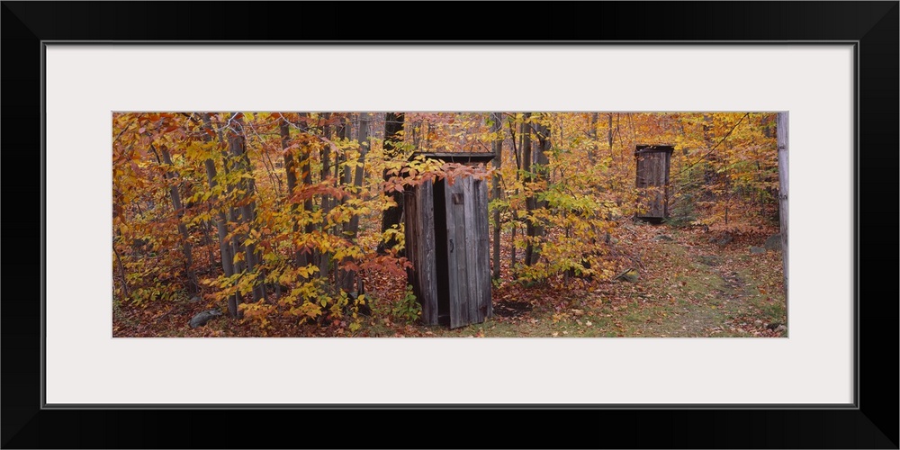 Outhouses in a forest, Adirondack Mountains, New York State