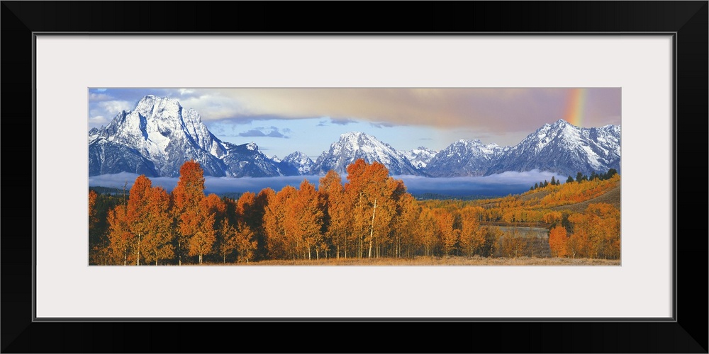 Autumn trees with mountain range in the background, Oxbow Bend, Teton Range, Grand Teton National Park, Wyoming, USA