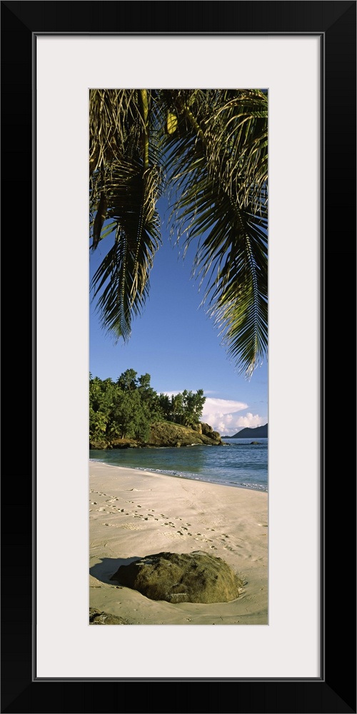 Palm trees and rocks on a small secluded beach on North Island, Seychelles