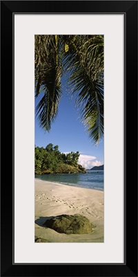 Palm trees and rocks on a small secluded beach on North Island, Seychelles