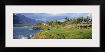 Palm trees at seaside, Kiele Course, Number 13, Kauai Lagoons Golf Club, Lihue, Hawaii