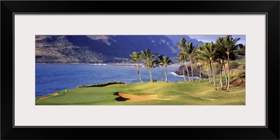 Palm trees at seaside, Kiele Course, Number 13, Kauai Lagoons Golf Club, Lihue, Hawaii