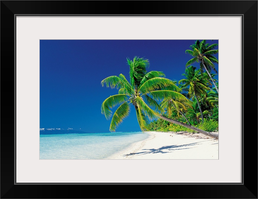 Large canvas print of palm trees leaning over a beach with clear water lapping ashore.
