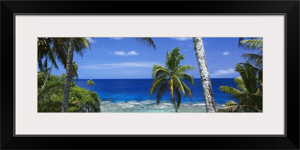 Giant, panoramic photograph of palm trees on the beach of Nive Island, in front of the deep blue waters of the South Pacific.