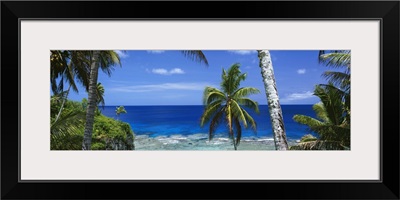 Palm trees on island coast, blue ocean water, Nive Island, South Pacific