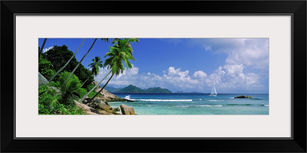 Long panoramic image of palm trees lining a beach with a sailboat sailing in the ocean.