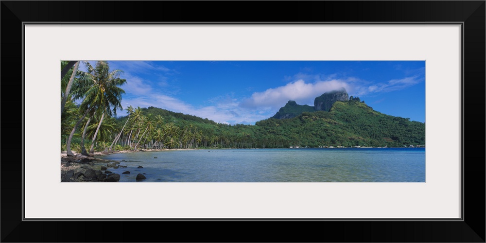 Palm trees on the beach, Bora Bora, French Polynesia