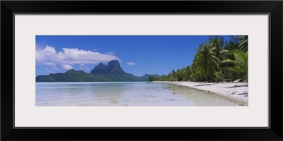 Palm trees on the beach, Bora Bora, French Polynesia