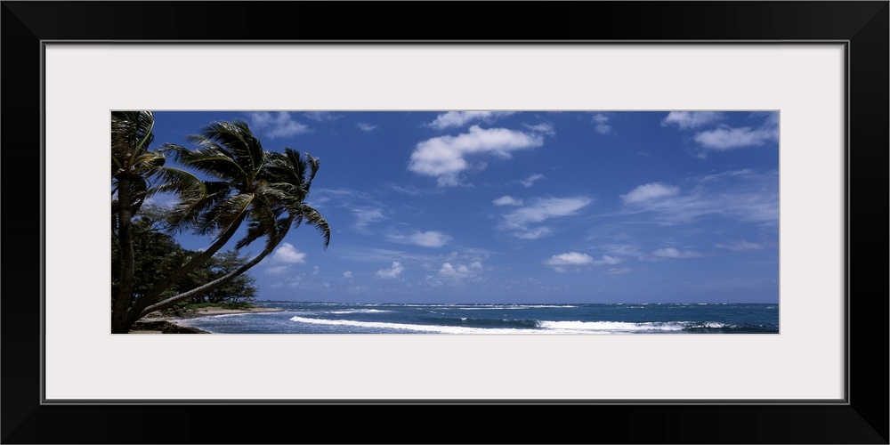 Vista of a mostly clear sky over the Pacific Ocean, with waves headed towards the palm trees hanging over the shoreline.