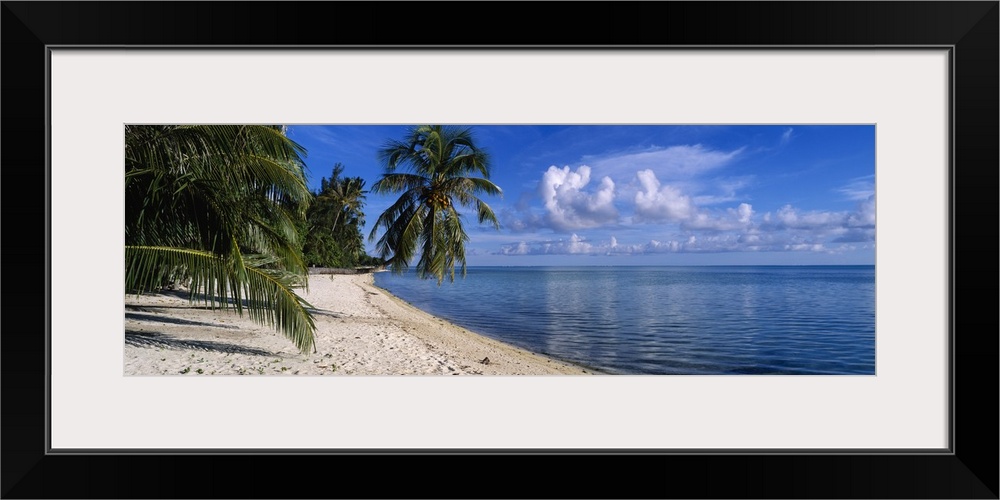 Panoramic photograph shows a group of tropical vegetation hanging over a sandy coastline while the waves of the Pacific Oc...