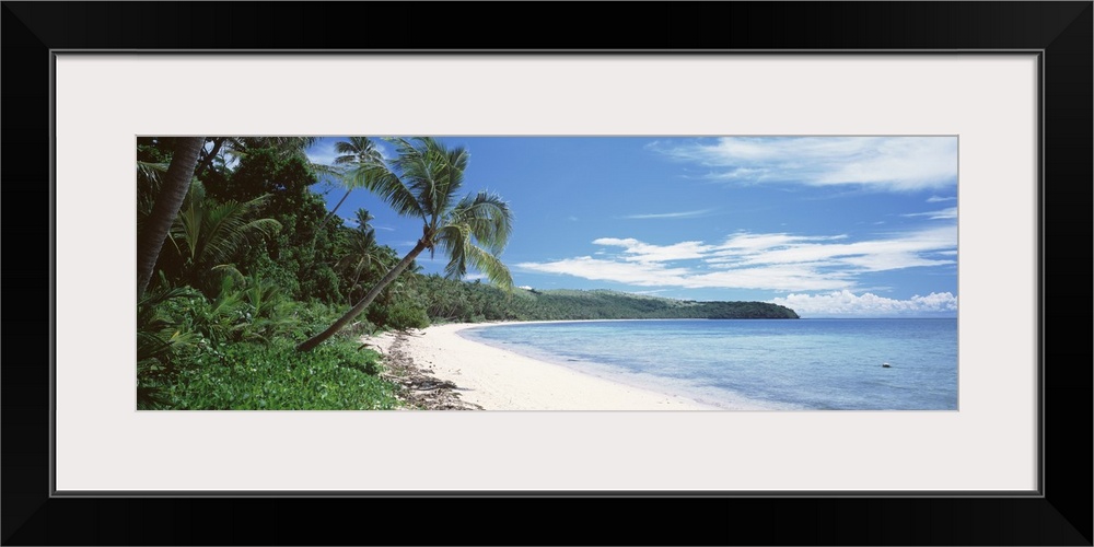 Palm trees on the beach, Nananu-i Ra Island, Fiji