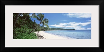 Palm trees on the beach, Nananu-i Ra Island, Fiji