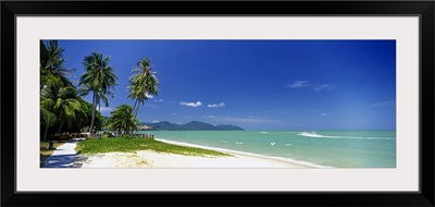 Palm trees on the beach, Penang State, Malaysia