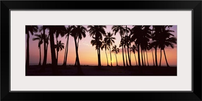 Palm trees on the beach, Pu'u Honua O Honaunau, Hawaii
